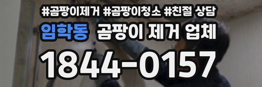 임학동 곰팡이 제거 업체