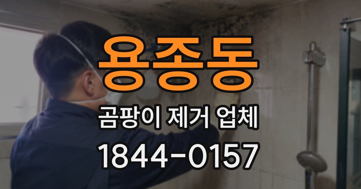 용종동 곰팡이 제거 업체