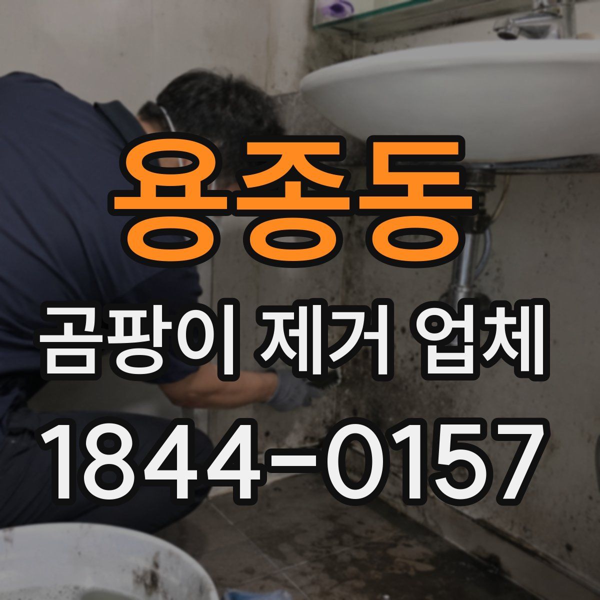 용종동 곰팡이 제거 업체
