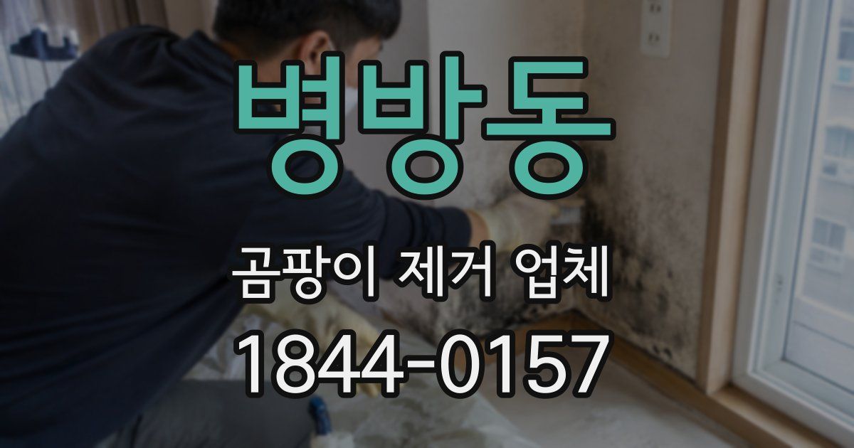 병방동 곰팡이 제거 업체