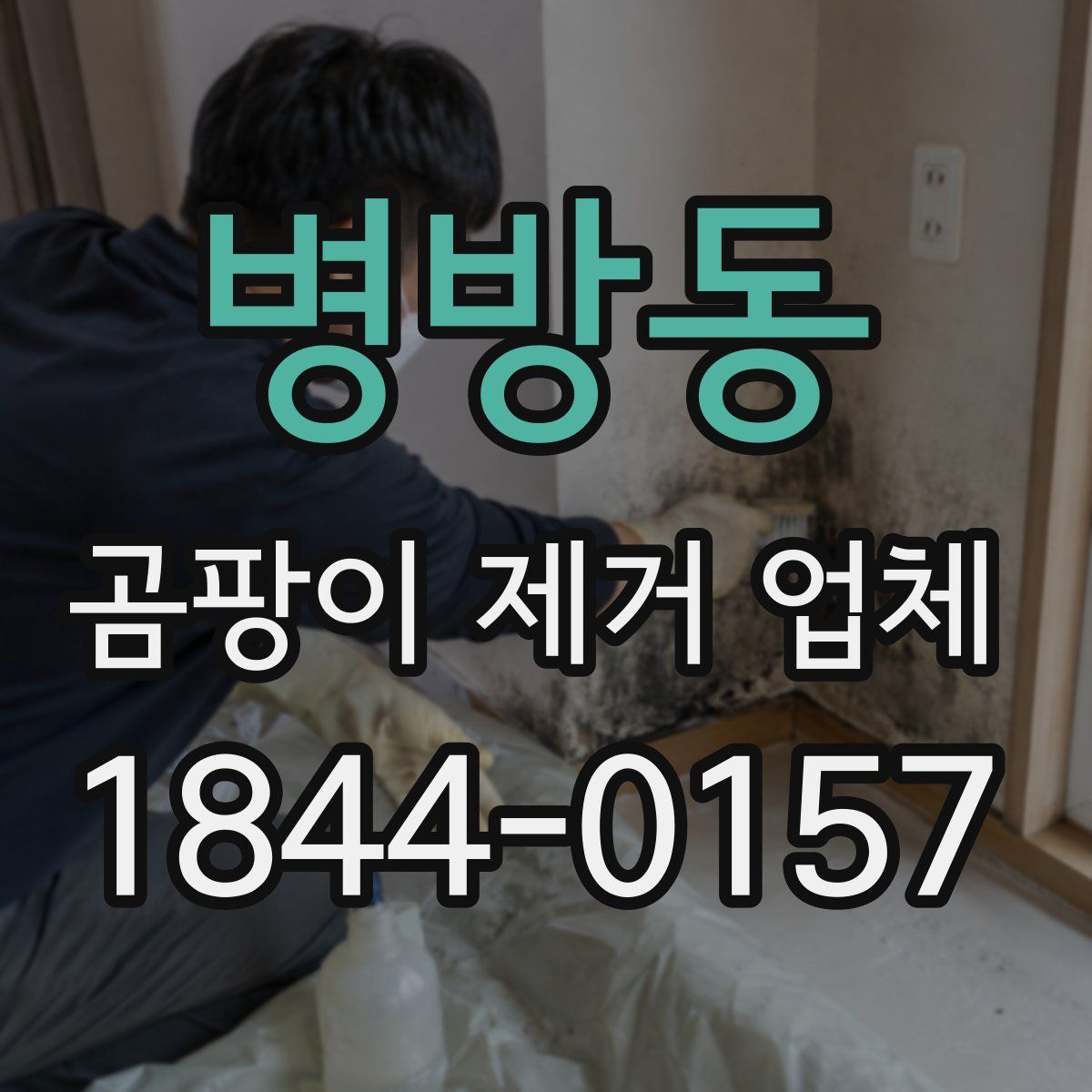 병방동 곰팡이 제거 업체