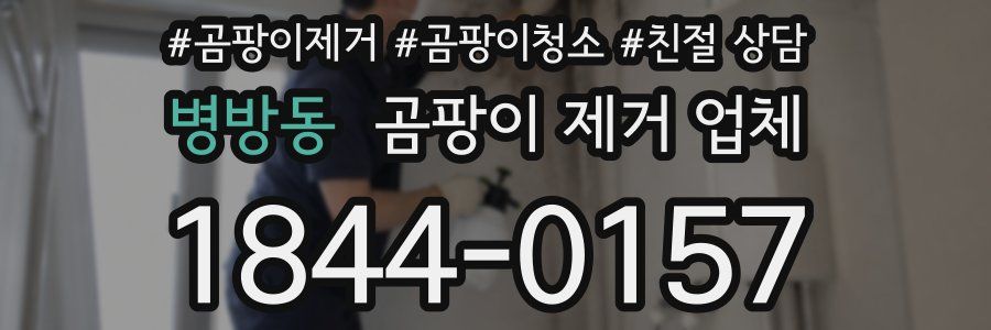 병방동 곰팡이 제거 업체