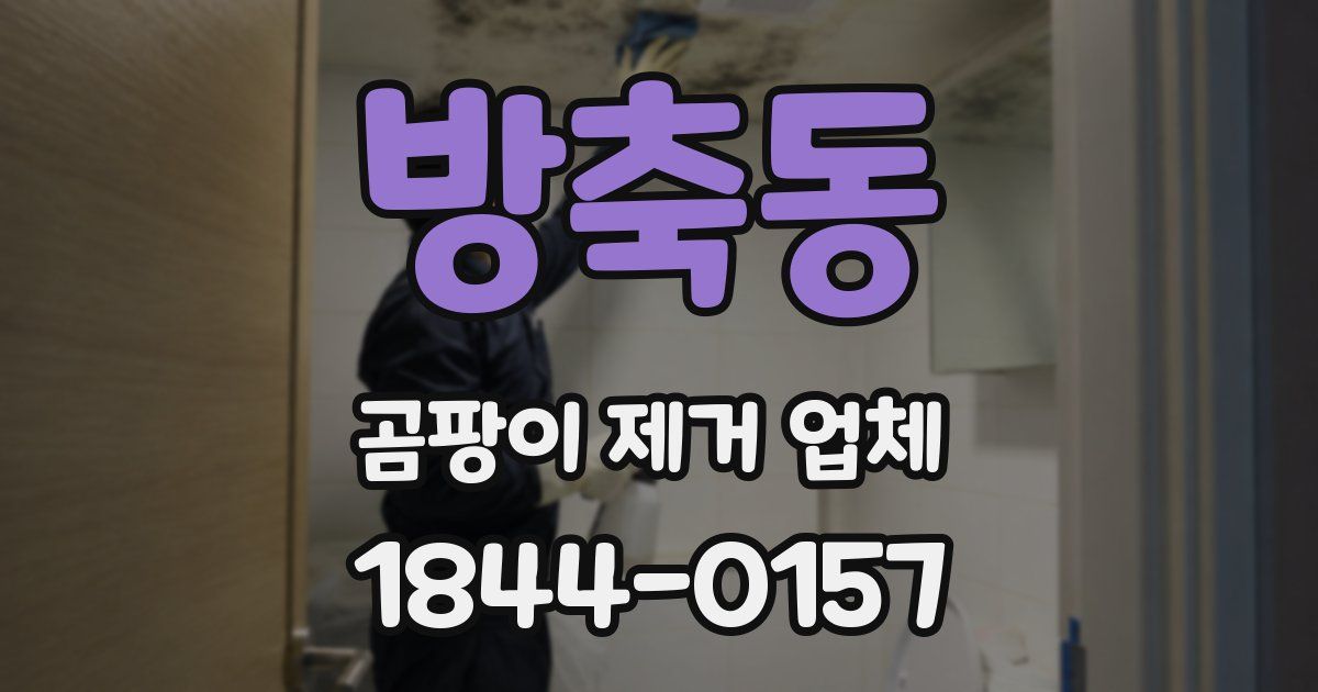 방축동 곰팡이 제거 업체