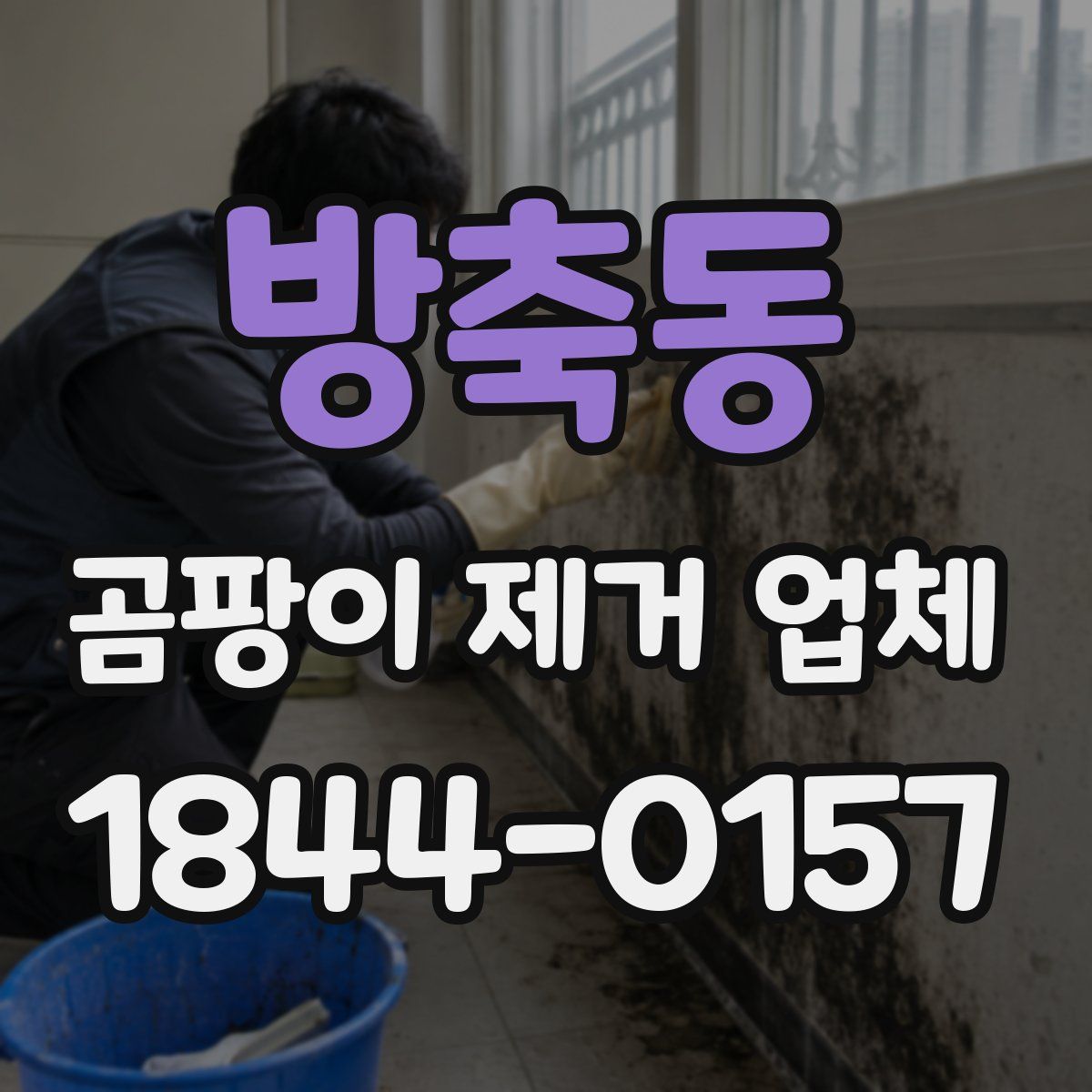 방축동 곰팡이 제거 업체
