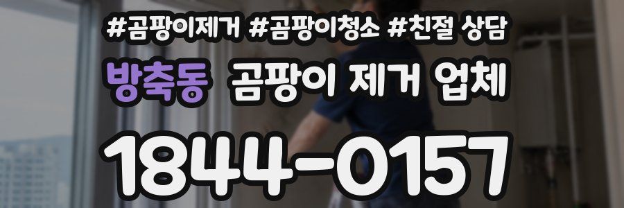 방축동 곰팡이 제거 업체