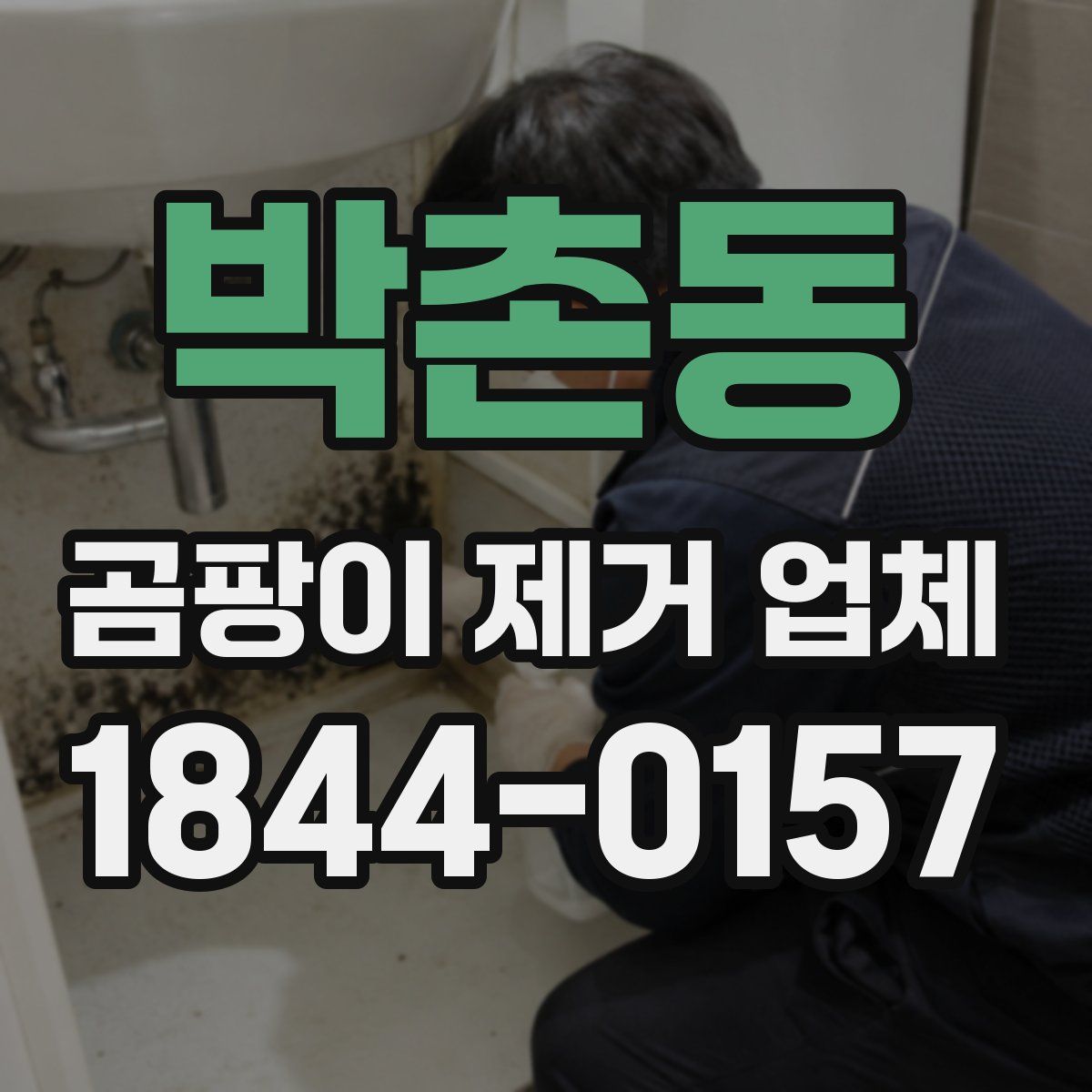 박촌동 곰팡이 제거 업체