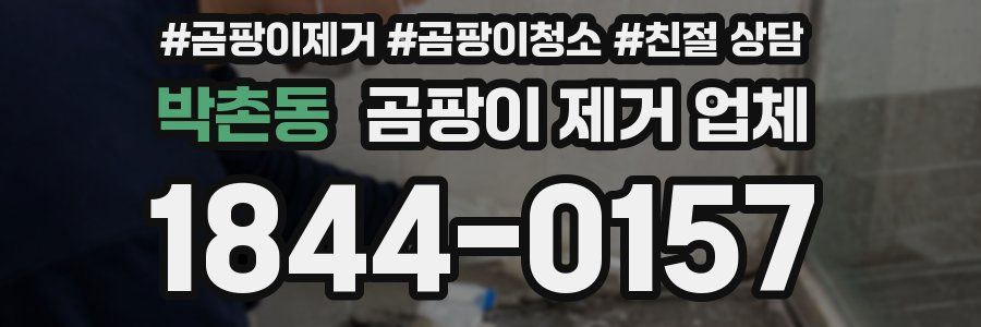 박촌동 곰팡이 제거 업체