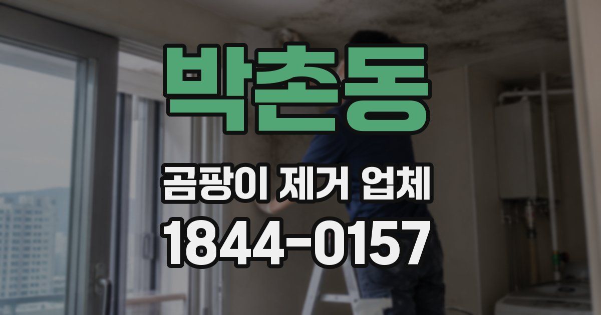 박촌동 곰팡이 제거 업체