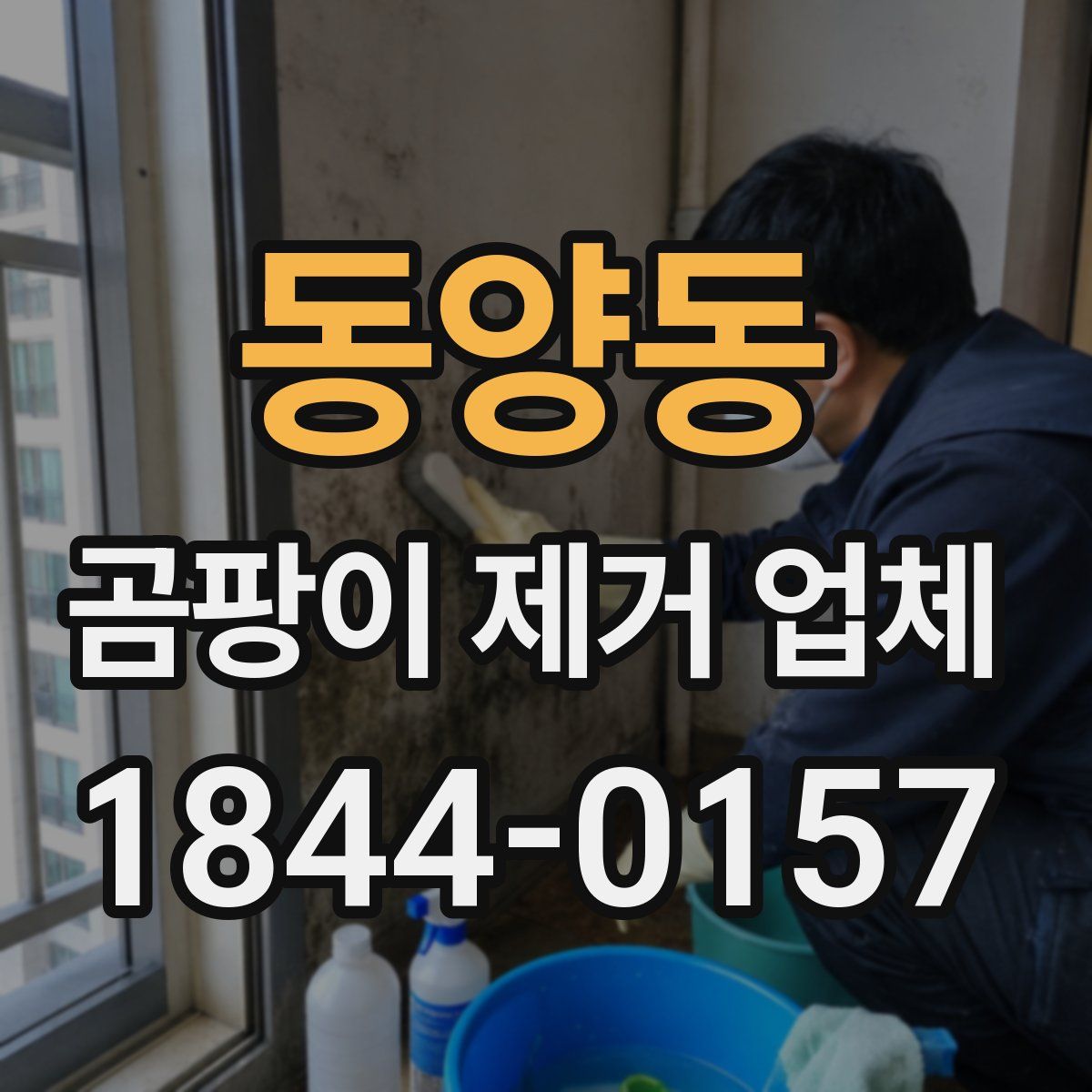 동양동 곰팡이 제거 업체