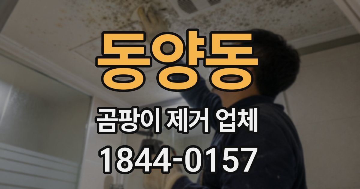 동양동 곰팡이 제거 업체