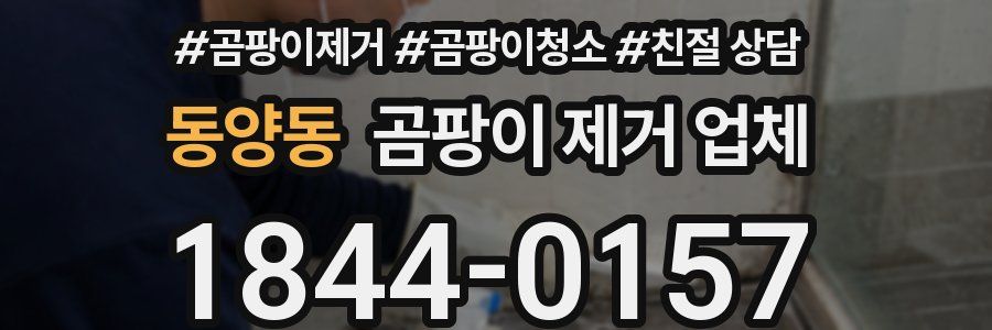 동양동 곰팡이 제거 업체
