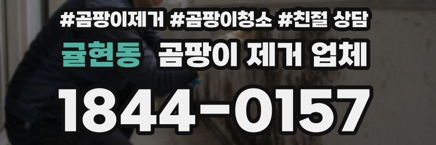 귤현동 곰팡이 제거 업체