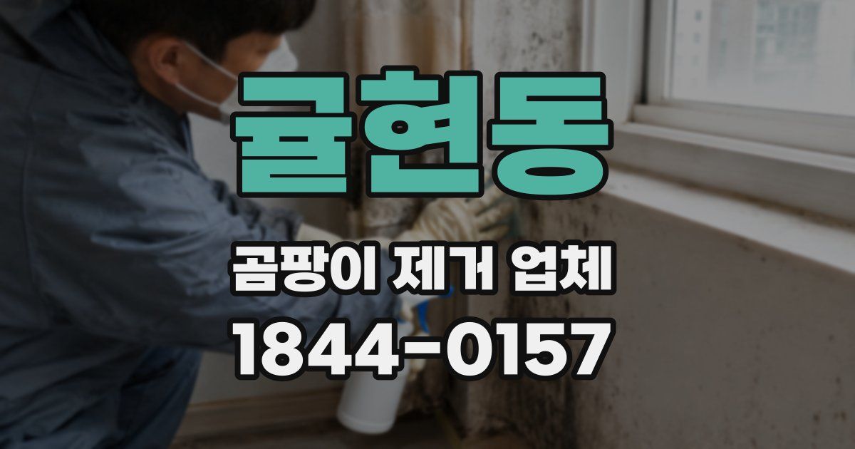 귤현동 곰팡이 제거 업체