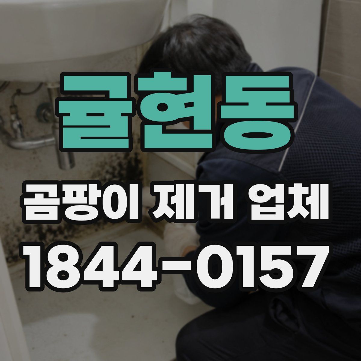 귤현동 곰팡이 제거 업체