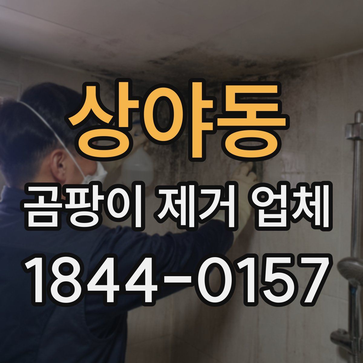 상야동 곰팡이 제거 업체
