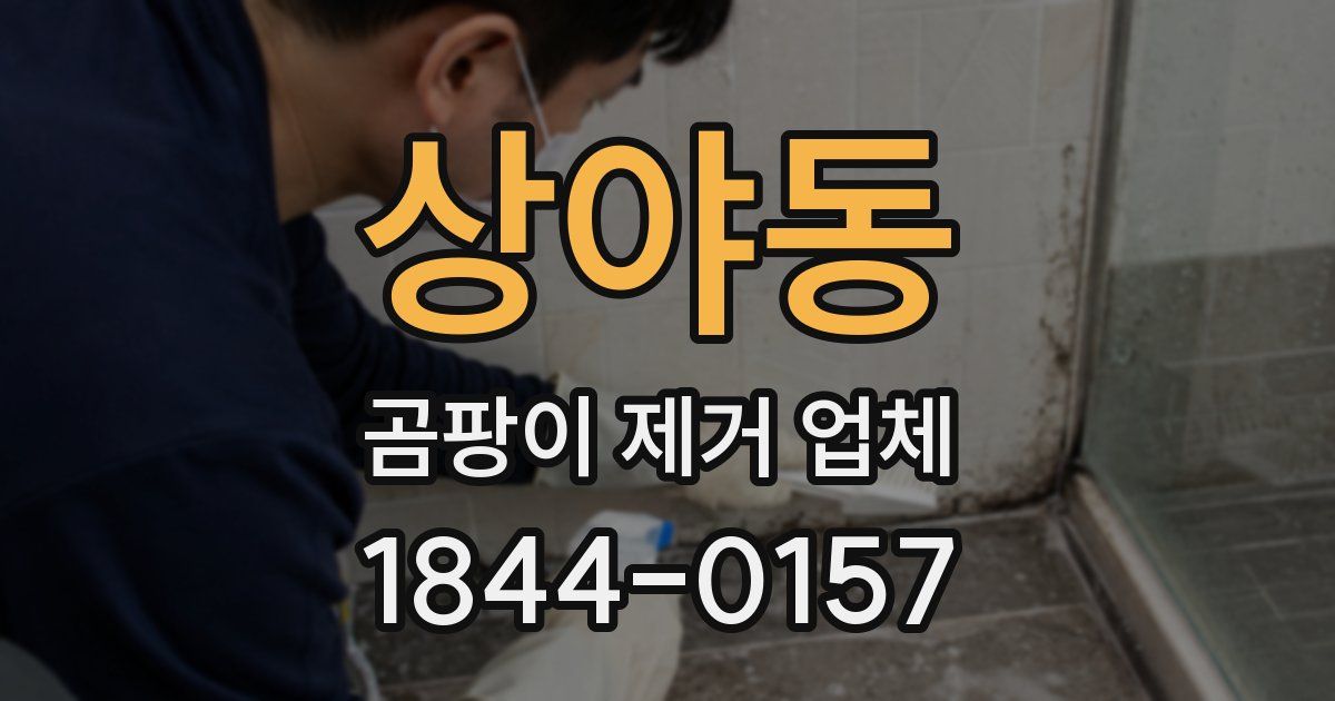상야동 곰팡이 제거 업체