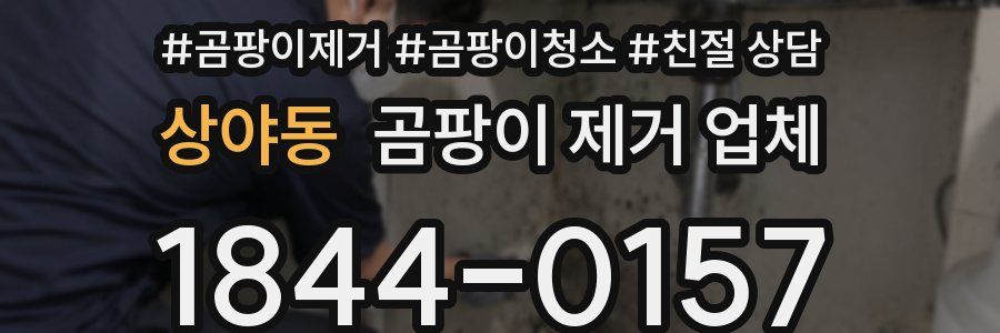 상야동 곰팡이 제거 업체