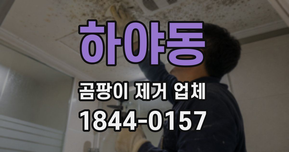 하야동 곰팡이 제거 업체