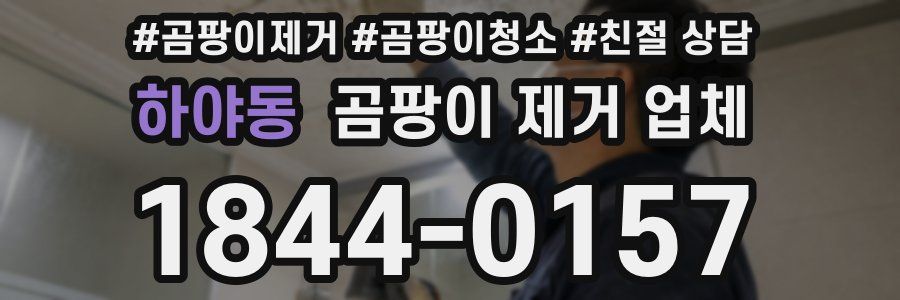 하야동 곰팡이 제거 업체
