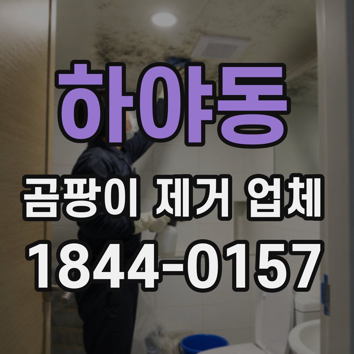 하야동 곰팡이 제거 업체