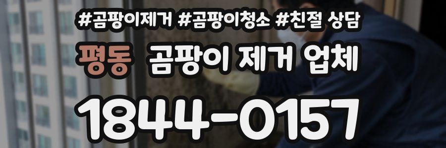 평동 곰팡이 제거 업체