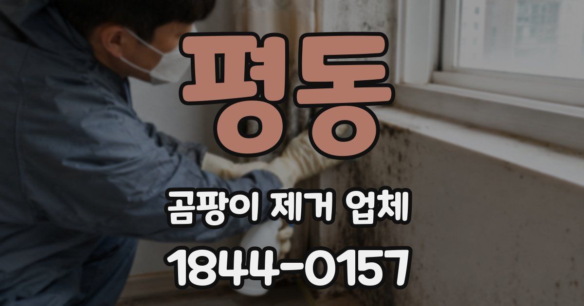 평동 곰팡이 제거 업체