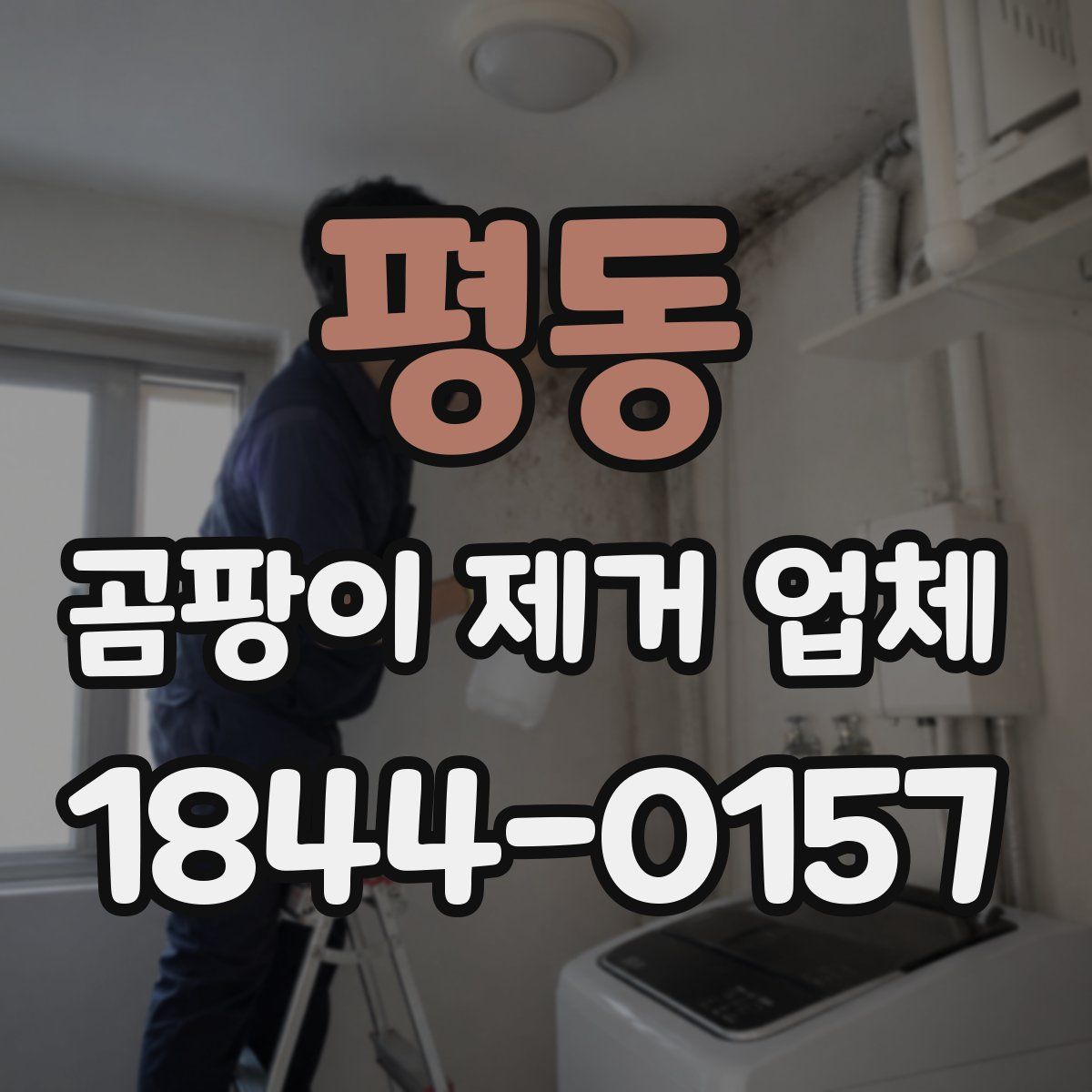 평동 곰팡이 제거 업체