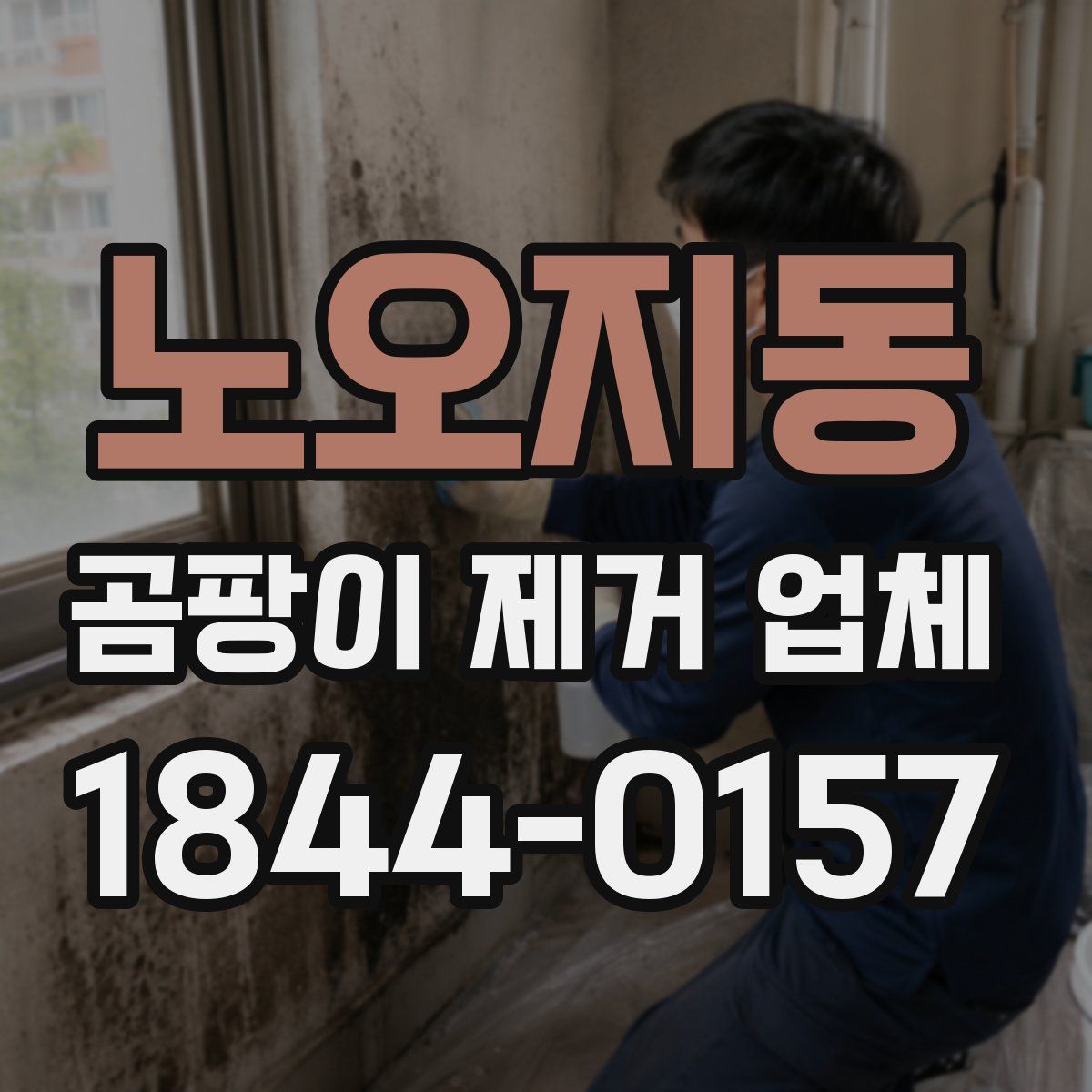 노오지동 곰팡이 제거 업체