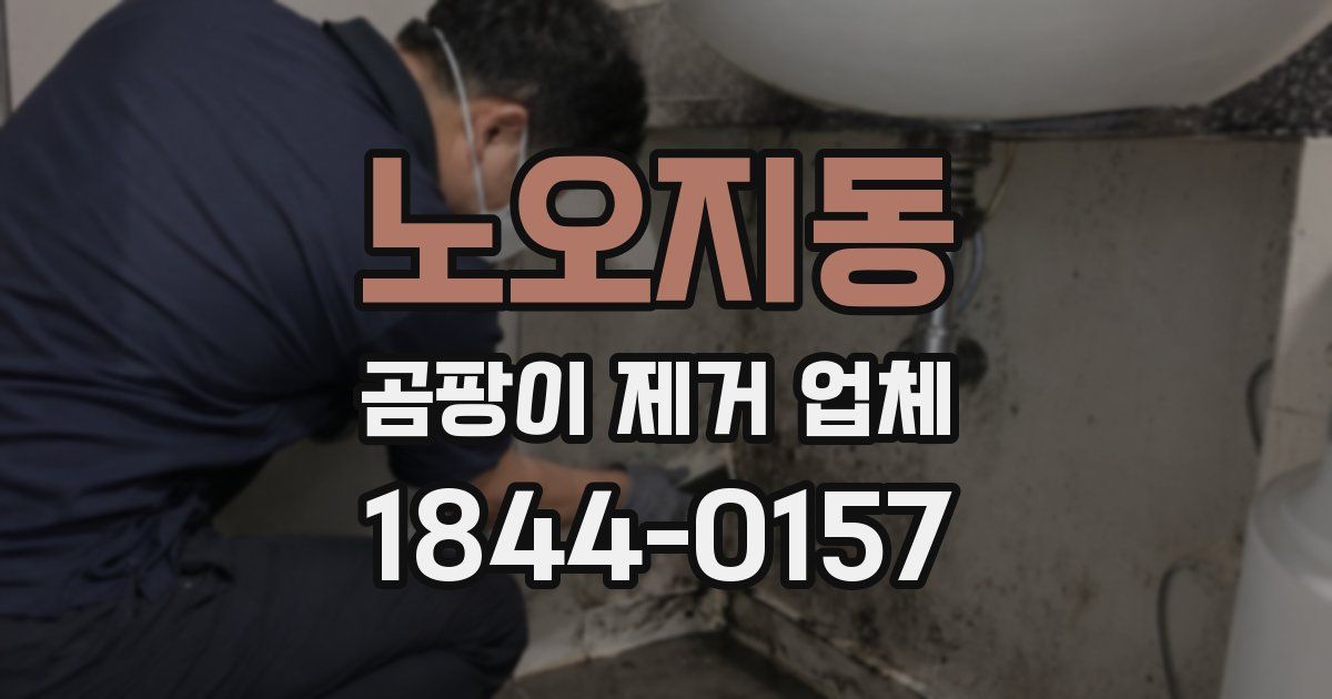 노오지동 곰팡이 제거 업체