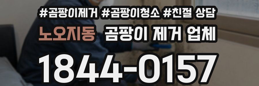 노오지동 곰팡이 제거 업체