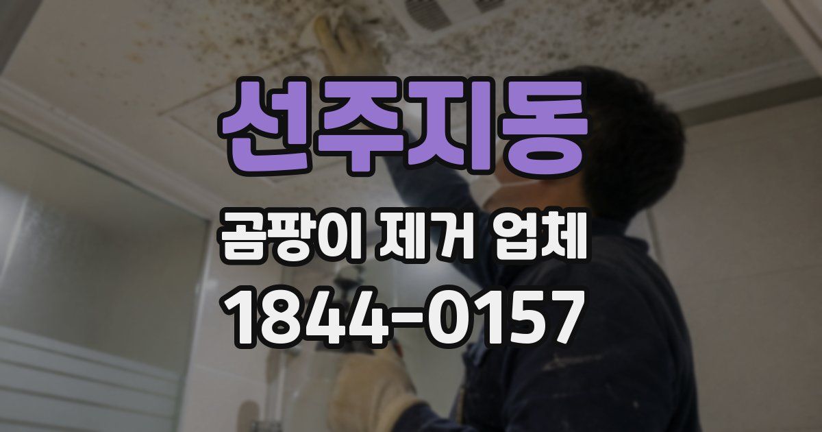 선주지동 곰팡이 제거 업체