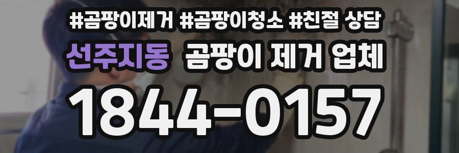 선주지동 곰팡이 제거 업체