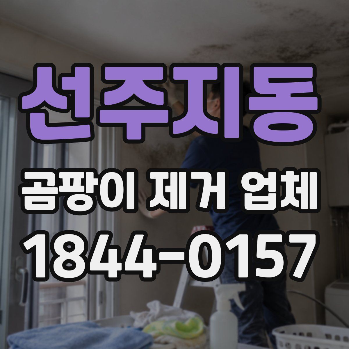선주지동 곰팡이 제거 업체