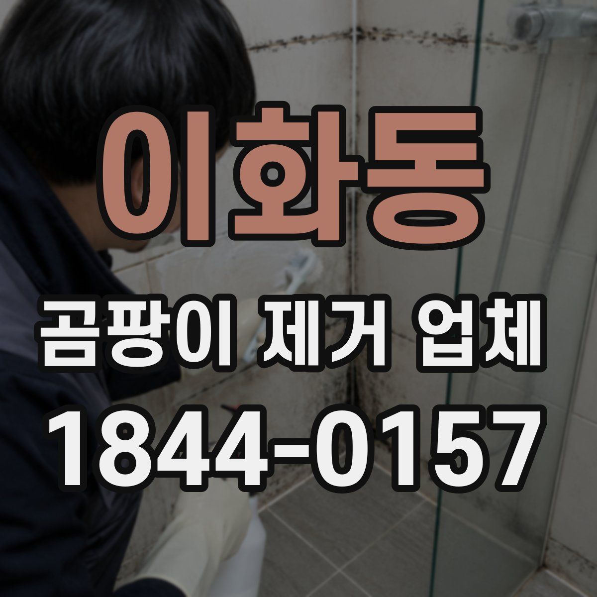 이화동 곰팡이 제거 업체