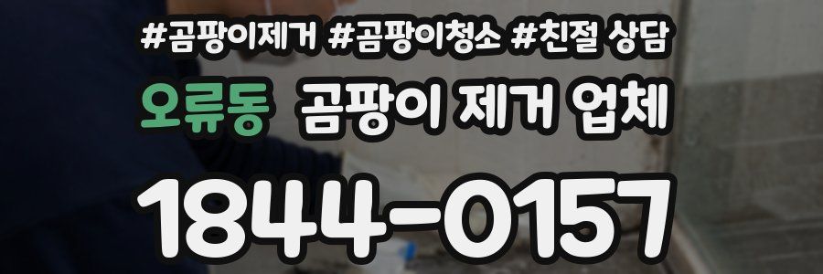 오류동 곰팡이 제거 업체