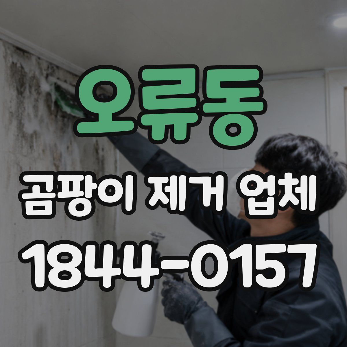 오류동 곰팡이 제거 업체