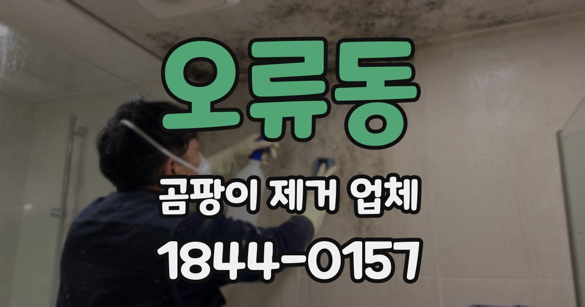 오류동 곰팡이 제거 업체