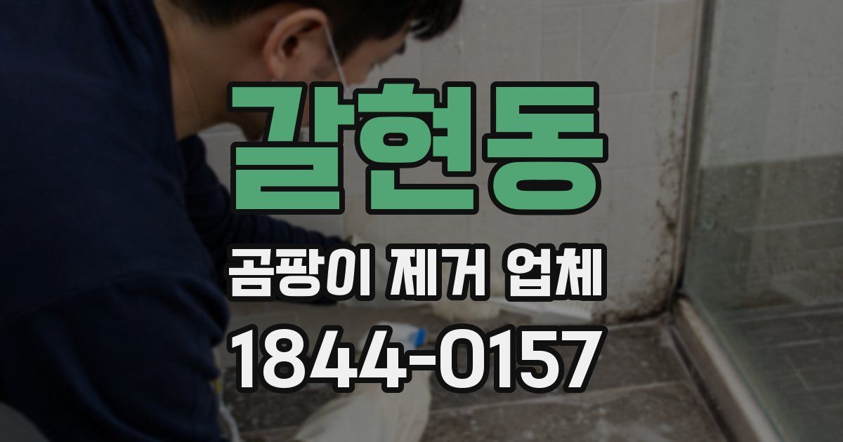 갈현동 곰팡이 제거 업체