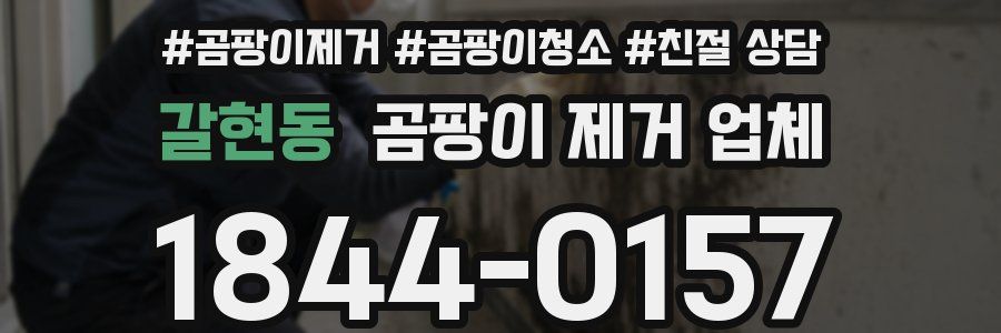 갈현동 곰팡이 제거 업체