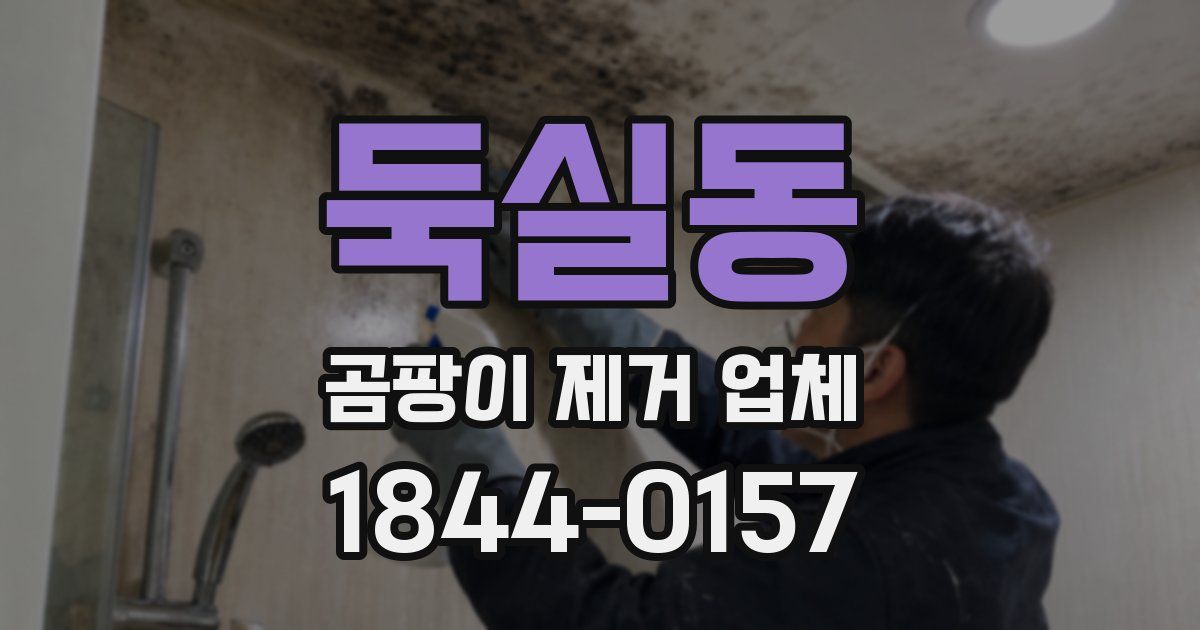 둑실동 곰팡이 제거 업체