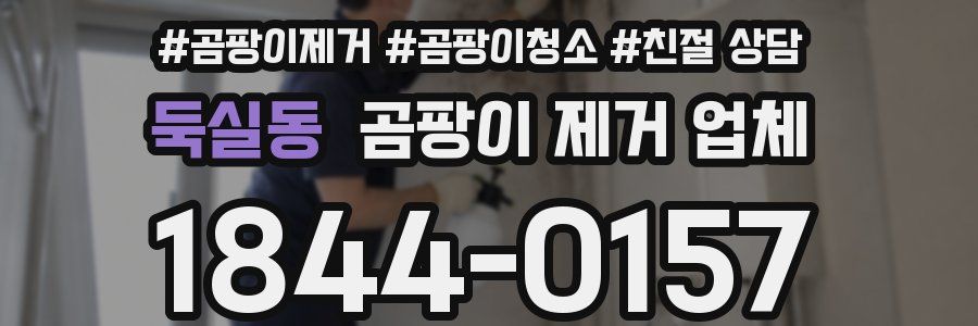 둑실동 곰팡이 제거 업체