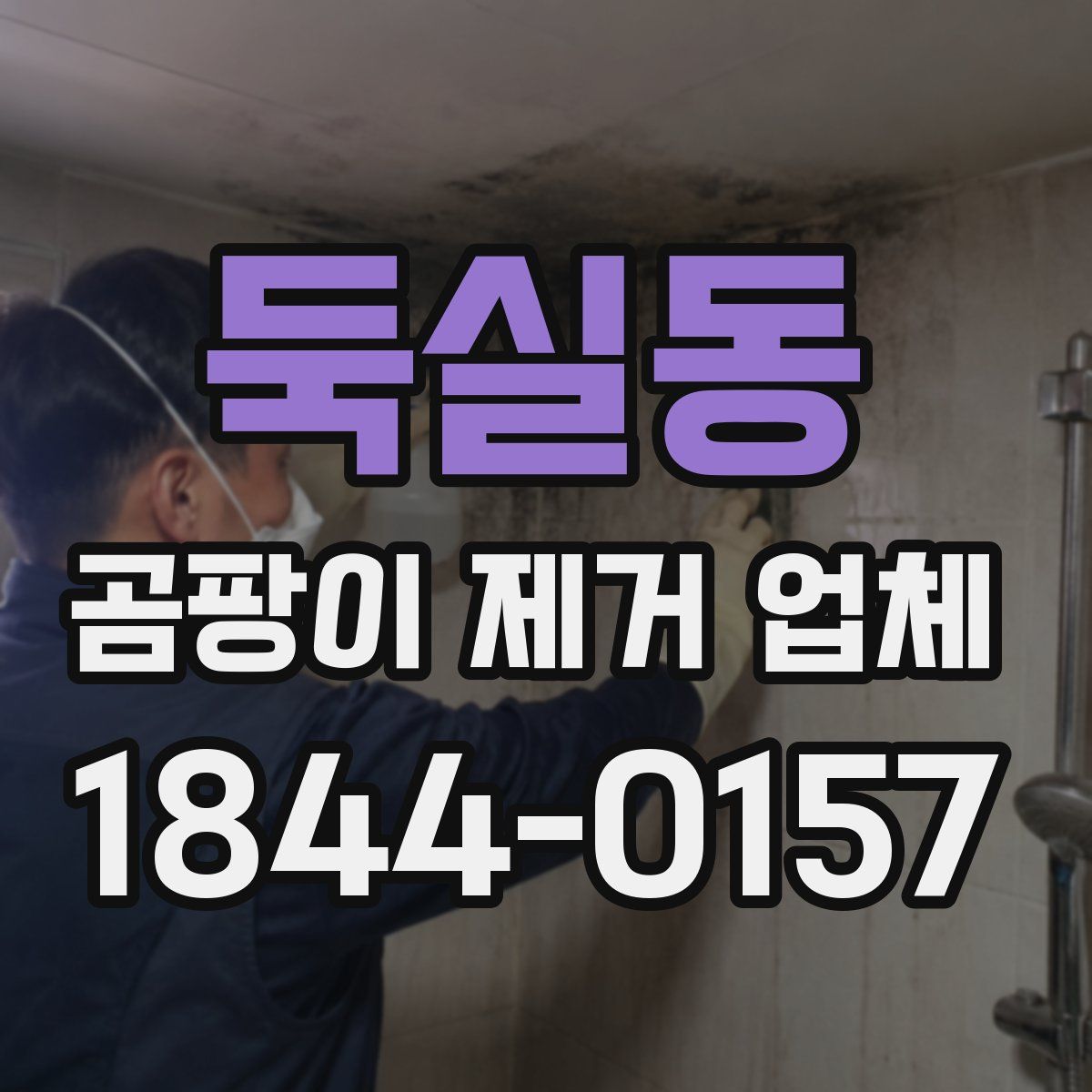 둑실동 곰팡이 제거 업체