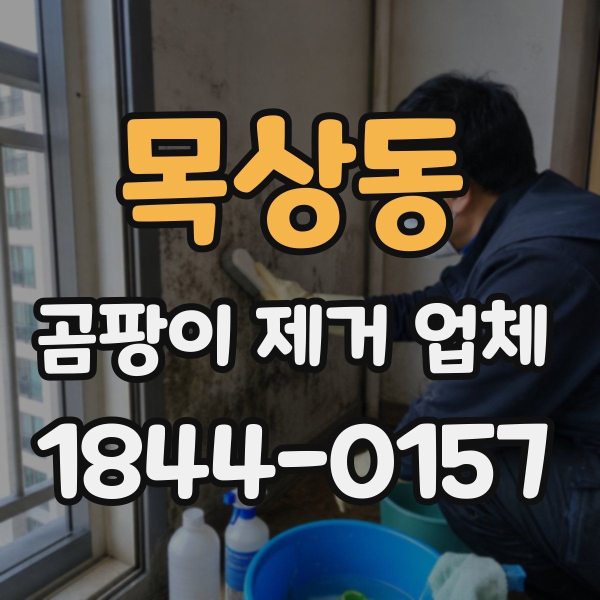목상동 곰팡이 제거 업체