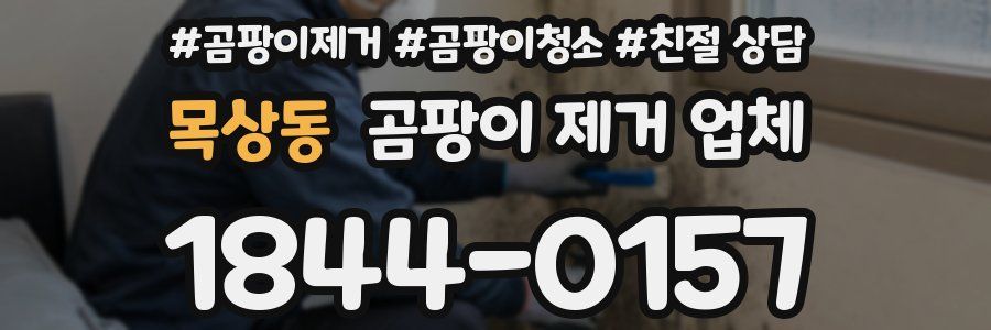 목상동 곰팡이 제거 업체