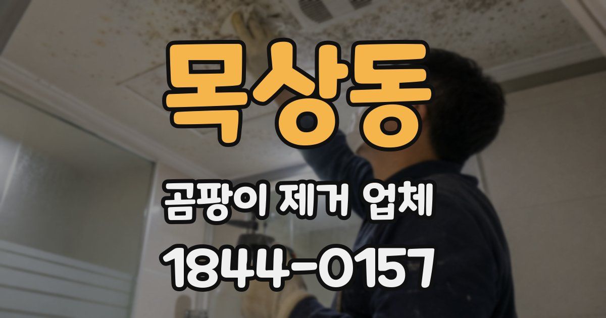 목상동 곰팡이 제거 업체