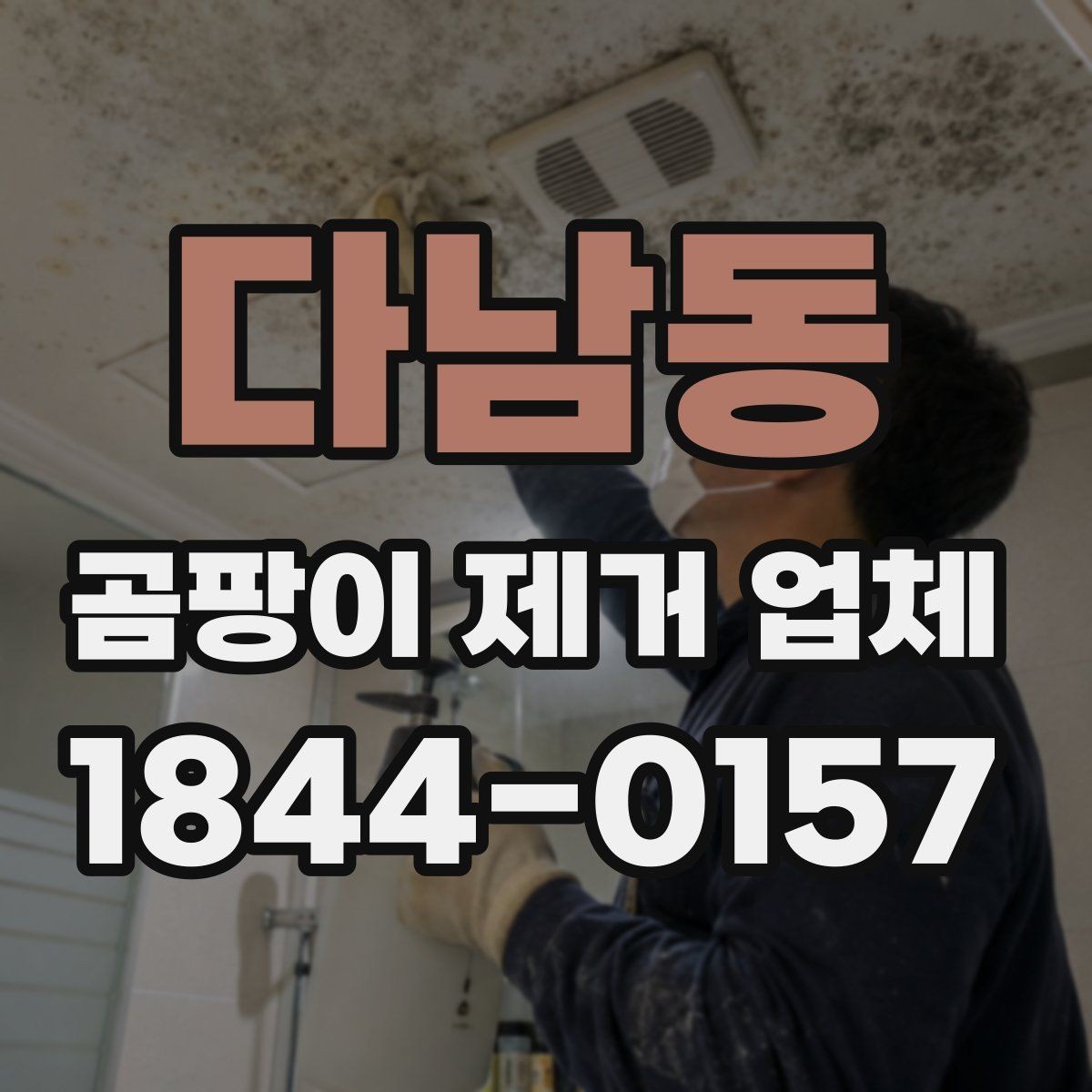 다남동 곰팡이 제거 업체 상담 시 확인할 작업 일정