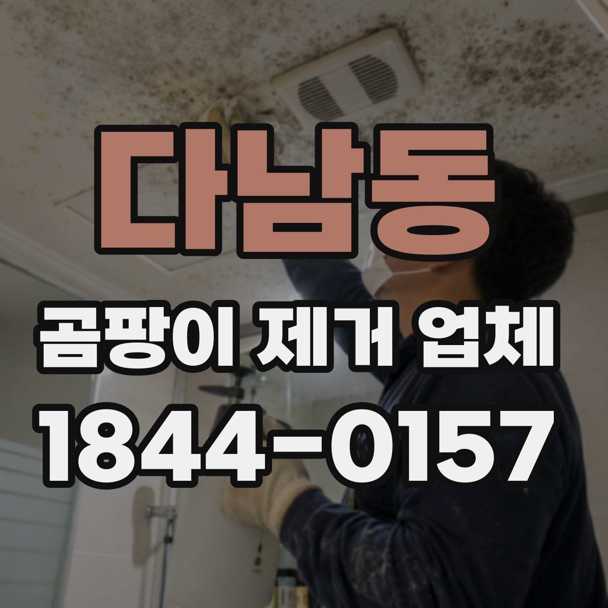 다남동 곰팡이 제거 업체