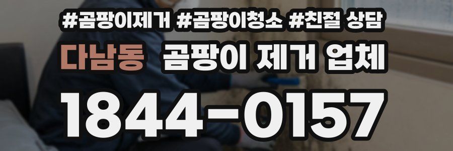 다남동 곰팡이 제거 업체