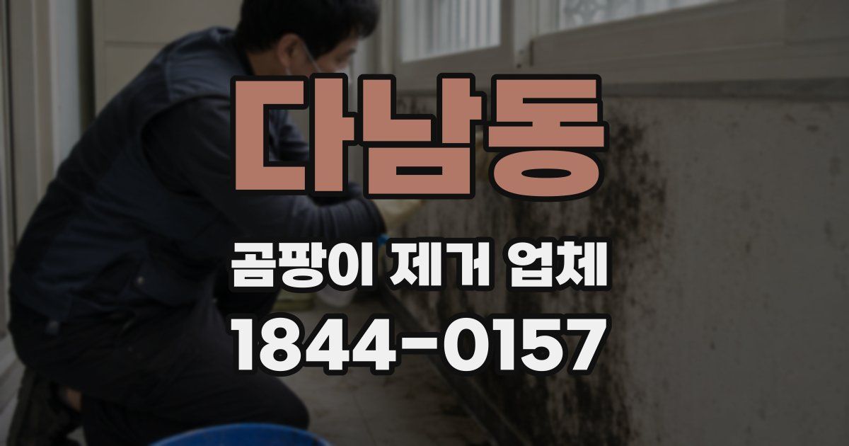다남동 곰팡이 제거 업체