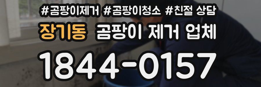 장기동 곰팡이 제거 업체